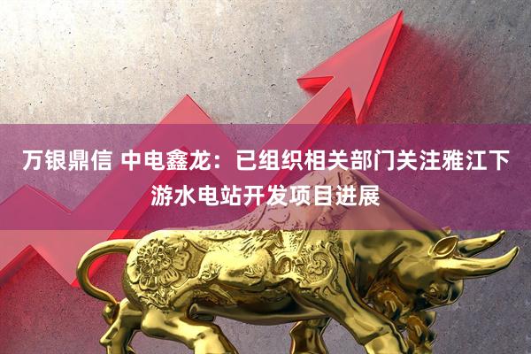 万银鼎信 中电鑫龙：已组织相关部门关注雅江下游水电站开发项目进展