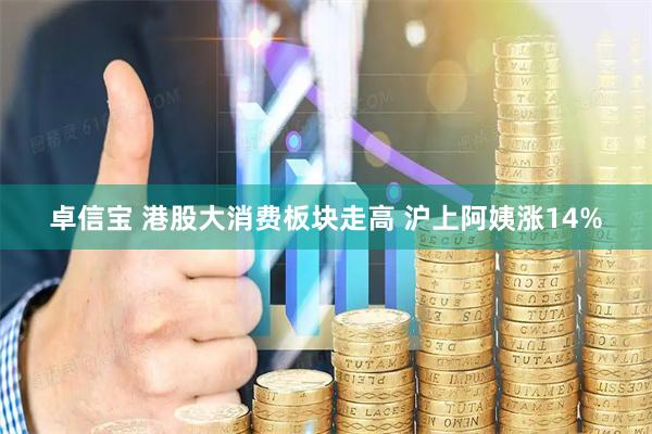 卓信宝 港股大消费板块走高 沪上阿姨涨14%